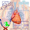 South Pacific Biomedical RST eTraining